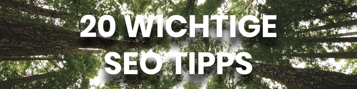 20 wichtige Tipps für SEO, die das Wachstum ankurbeln